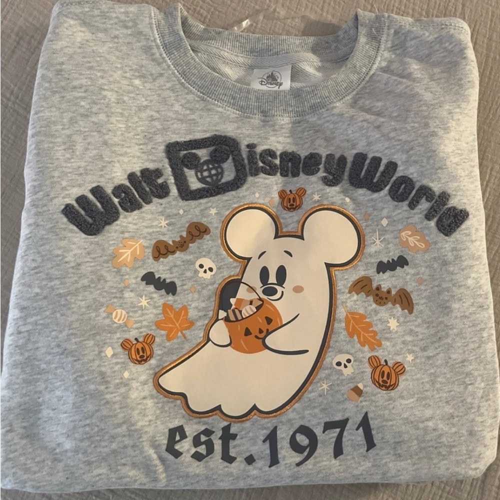 Disney World Gray Ghost Sweatshirt 2025